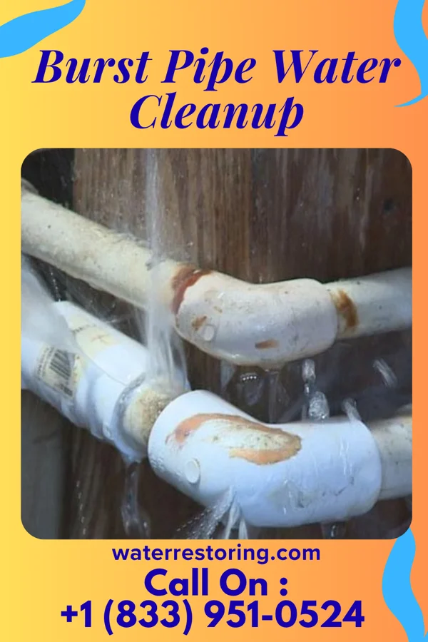 Burst Pipe Water Cleanup in Elk Plain, WA