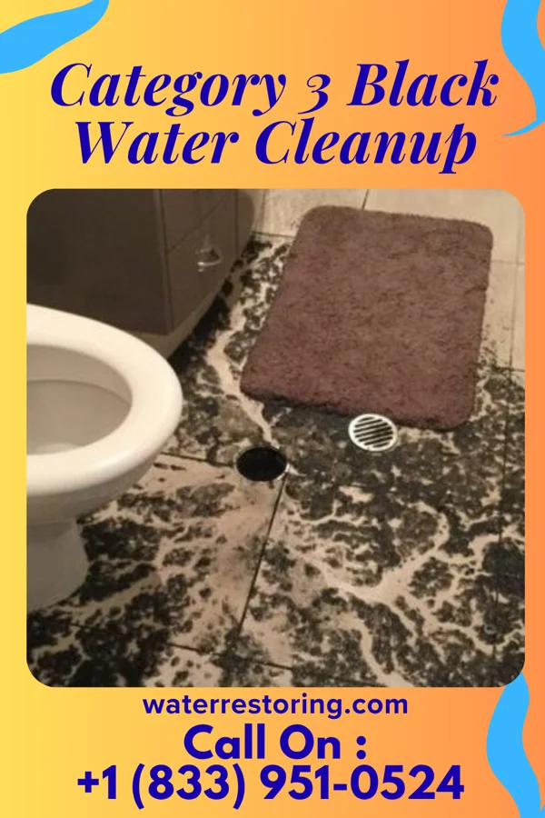 Category 3 Black Water Cleanup in Elk Plain, WA