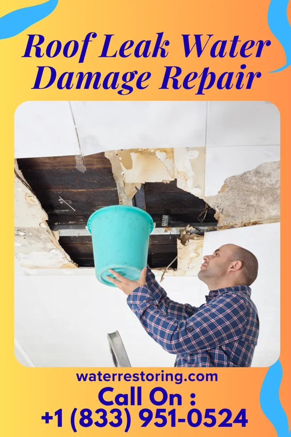 Roof Leak Water Damage Repair in Elk Plain, WA