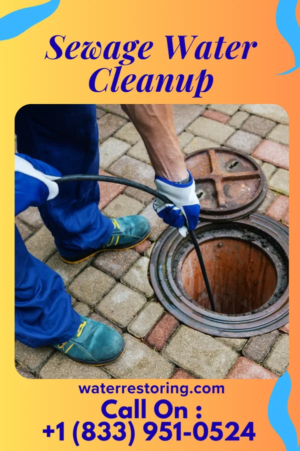 Sewage Water Cleanup in Elk Plain, WA
